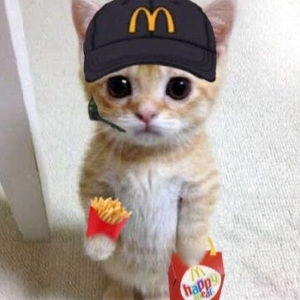 Meet your Posher, Xiadani